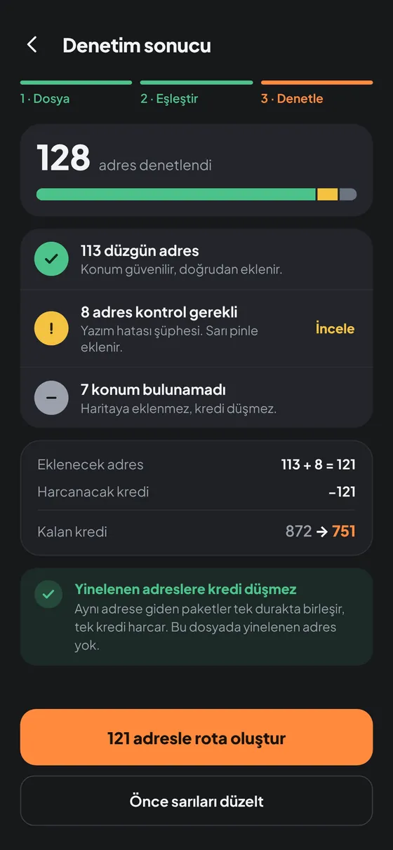 Denetim sonucu özeti